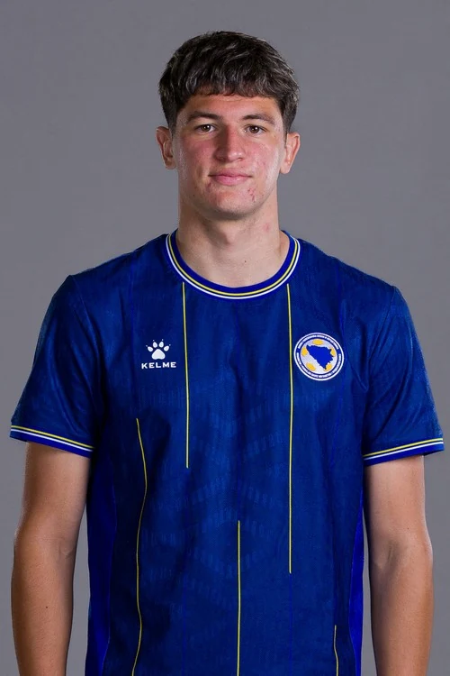 Arjan Malić - fudbalska reprezentacija Bosne i Hercegovine