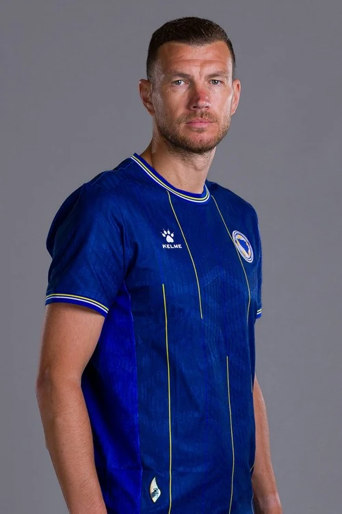 Edin Džeko - fudbalska reprezentacija Bosne i Hercegovine