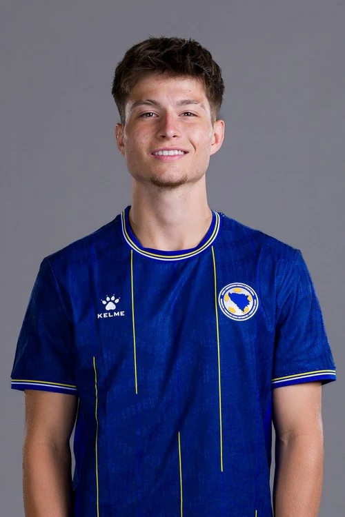 Esmir Bajraktarević - fudbalska reprezentacija Bosne i Hercegovine