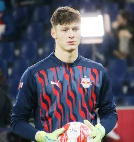 Salko Hamzić - fudbalska reprezentacija Bosne i Hercegovine