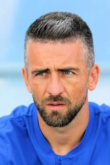 Vedad Ibišević - reprezentacija Bosne i Hercegovine